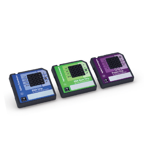 2100_chips